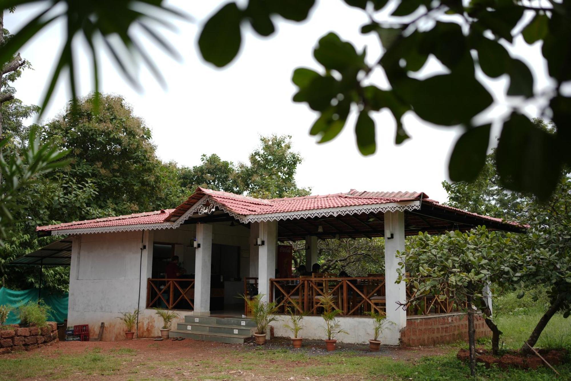 Cabo De Rama Cottage Cola 외부 사진